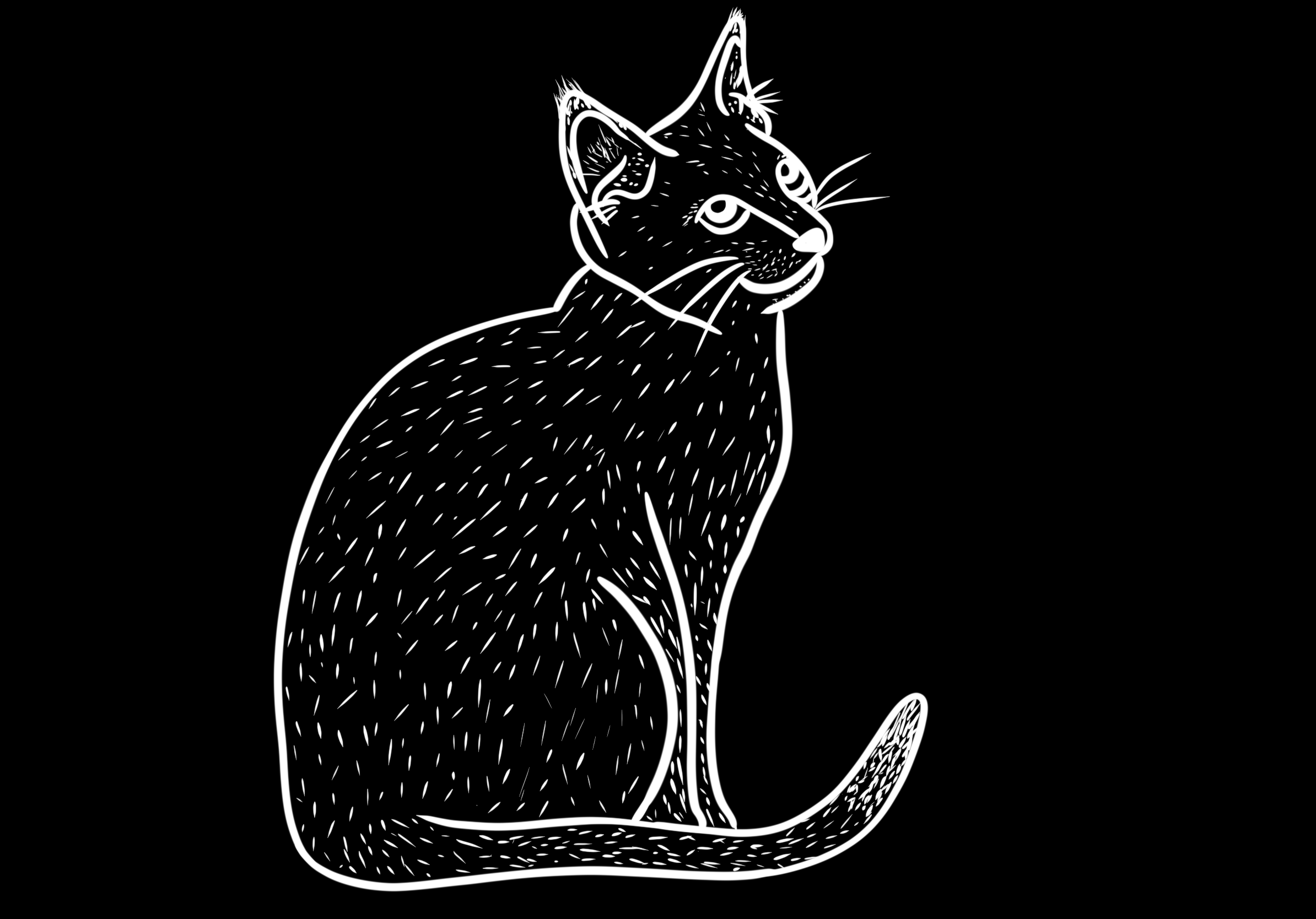 Dessin au trait d'un chat